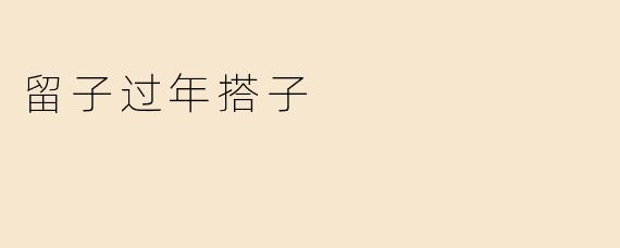 留子过年搭子