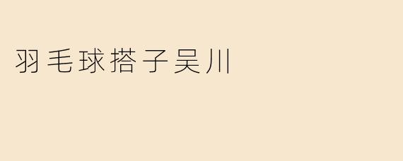 羽毛球搭子吴川