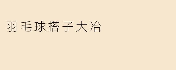 羽毛球搭子大冶