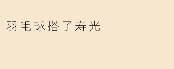 羽毛球搭子寿光