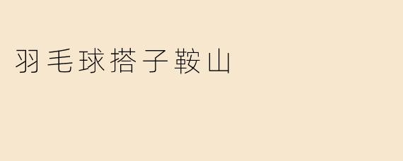 羽毛球搭子鞍山