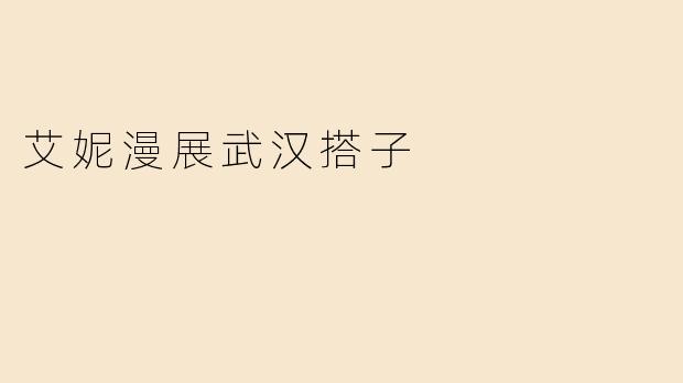 艾妮漫展武汉搭子