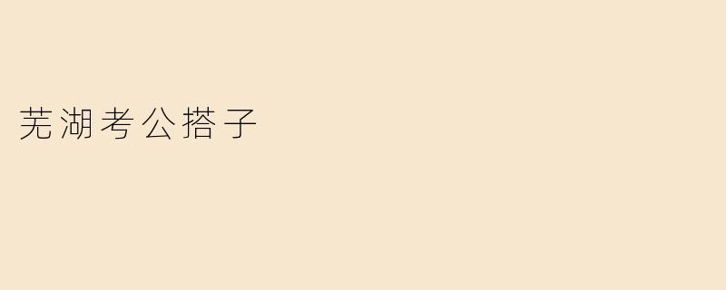 芜湖考公搭子