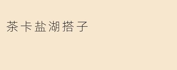 茶卡盐湖搭子