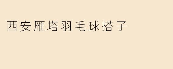 西安雁塔羽毛球搭子