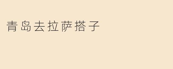 青岛去拉萨搭子