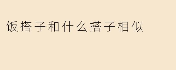 饭搭子和什么搭子相似
