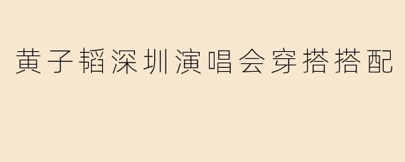 黄子韬深圳演唱会穿搭搭配