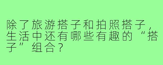 除了旅游搭子和拍照搭子，生活中还有哪些有趣的“搭子”组合？