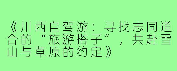 《川西自驾游：寻找志同道合的“旅游搭子”，共赴雪山与草原的约定》