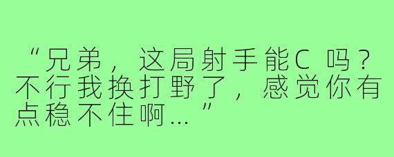 “兄弟，这局射手能C吗？不行我换打野了，感觉你有点稳不住啊…”