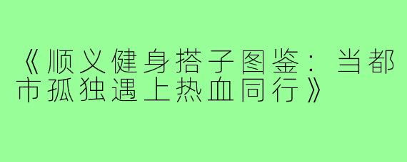 《顺义健身搭子图鉴：当都市孤独遇上热血同行》
