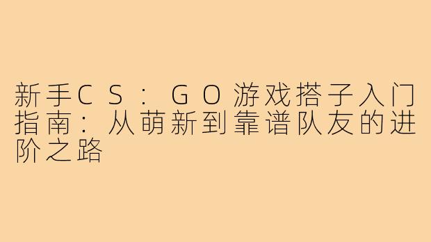 新手CS:GO游戏搭子入门指南：从萌新到靠谱队友的进阶之路