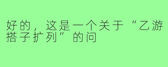 好的,这是一个关于“乙游搭子扩列”的问