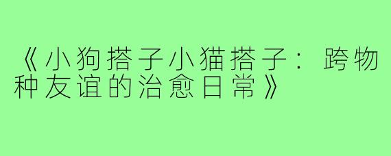 《小狗搭子小猫搭子:跨物种友谊的治愈日常》