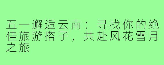 五一邂逅云南：寻找你的绝佳旅游搭子，共赴风花雪月之旅