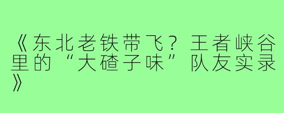 《东北老铁带飞？王者峡谷里的“大碴子味”队友实录》