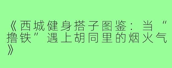 《西城健身搭子图鉴：当“撸铁”遇上胡同里的烟火气》