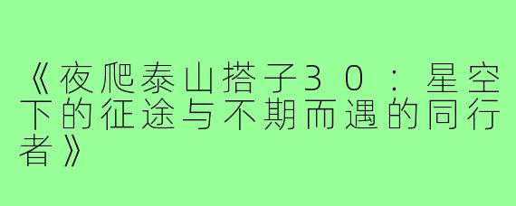 《夜爬泰山搭子30：星空下的征途与不期而遇的同行者》