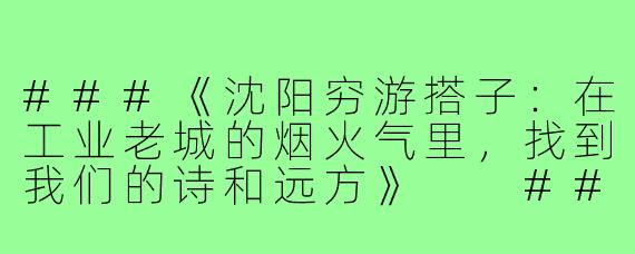 ###《沈阳穷游搭子：在工业老城的烟火气里，找到我们的诗和远方》

###