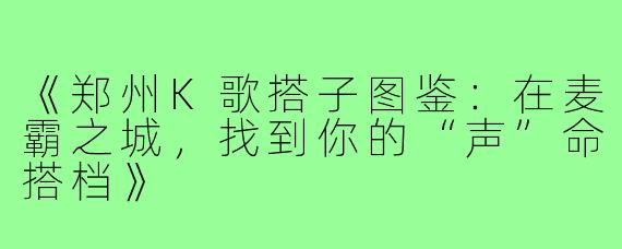 《郑州K歌搭子图鉴：在麦霸之城，找到你的“声”命搭档》