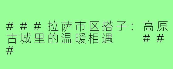 ###拉萨市区搭子：高原古城里的温暖相遇

###