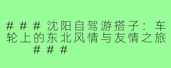 ###沈阳自驾游搭子：车轮上的东北风情与友情之旅

###