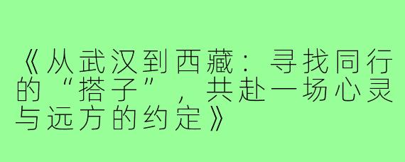 《从武汉到西藏：寻找同行的“搭子”，共赴一场心灵与远方的约定》