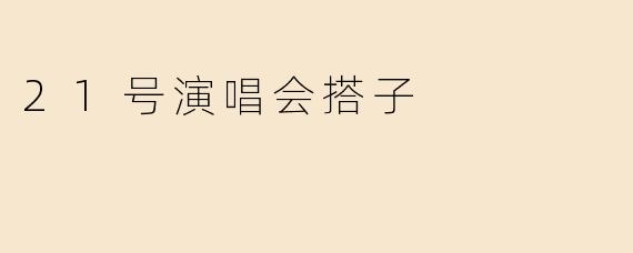 21号演唱会搭子