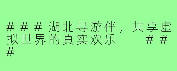 ###湖北寻游伴，共享虚拟世界的真实欢乐

###