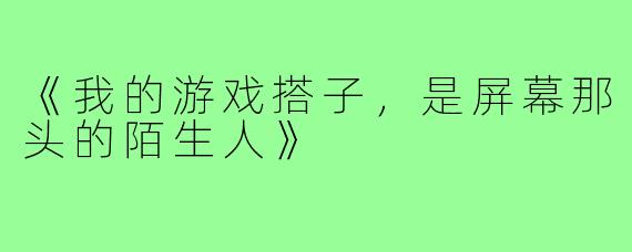 《我的游戏搭子,是屏幕那头的陌生人》