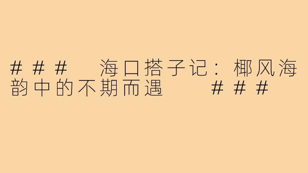 ###
海口搭子记：椰风海韵中的不期而遇

###
