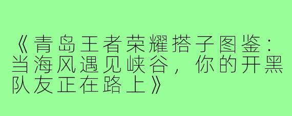 《青岛王者荣耀搭子图鉴：当海风遇见峡谷，你的开黑队友正在路上》