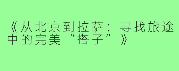 《从北京到拉萨：寻找旅途中的完美“搭子”》