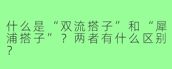 什么是“双流搭子”和“犀浦搭子”?两者有什么区别?