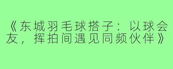 《东城羽毛球搭子：以球会友，挥拍间遇见同频伙伴》