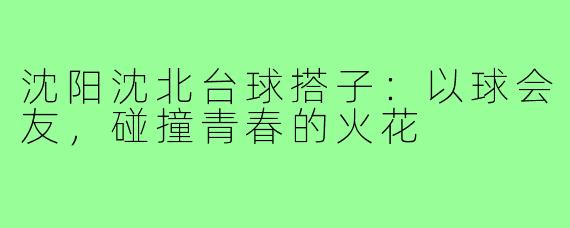 沈阳沈北台球搭子:以球会友,碰撞青春的火花