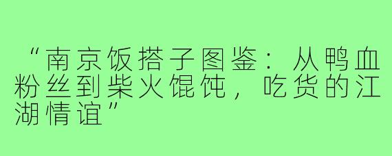 “南京饭搭子图鉴：从鸭血粉丝到柴火馄饨，吃货的江湖情谊”