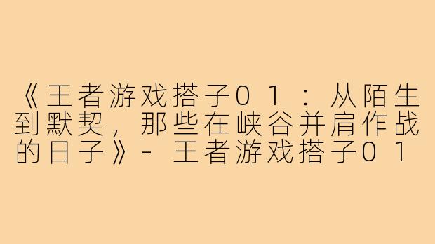 《王者游戏搭子01：从陌生到默契，那些在峡谷并肩作战的日子》-王者游戏搭子01
