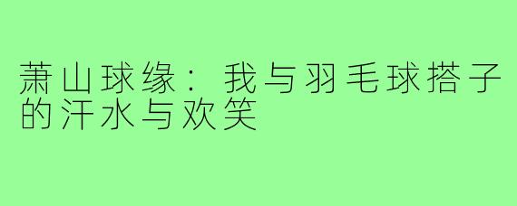 萧山球缘：我与羽毛球搭子的汗水与欢笑