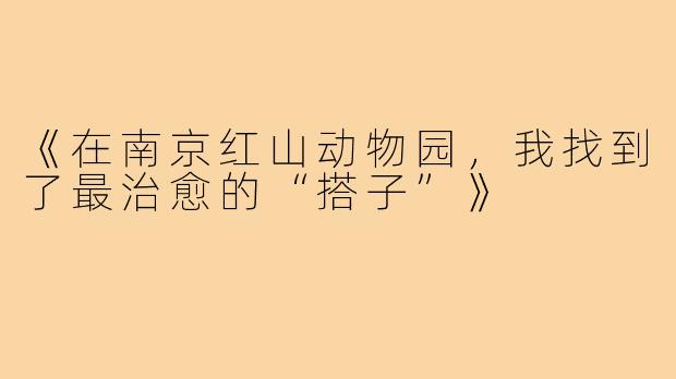 《在南京红山动物园，我找到了最治愈的“搭子”》