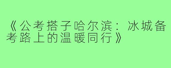 《公考搭子哈尔滨：冰城备考路上的温暖同行》