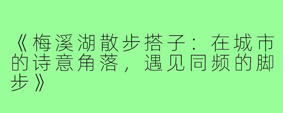 《梅溪湖散步搭子：在城市的诗意角落，遇见同频的脚步》