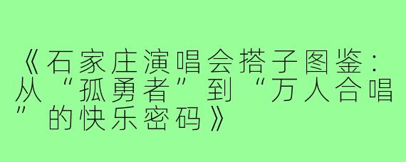 《石家庄演唱会搭子图鉴：从“孤勇者”到“万人合唱”的快乐密码》