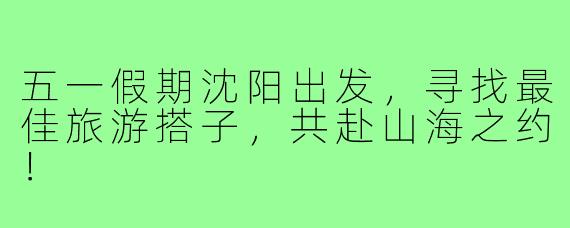 五一假期沈阳出发，寻找最佳旅游搭子，共赴山海之约！