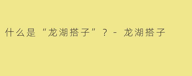 什么是“龙湖搭子”？-龙湖搭子