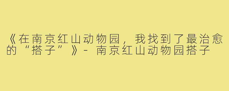 《在南京红山动物园，我找到了最治愈的“搭子”》-南京红山动物园搭子
