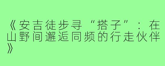 《安吉徒步寻“搭子”：在山野间邂逅同频的行走伙伴》