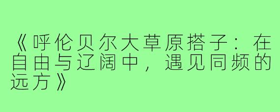 《呼伦贝尔大草原搭子：在自由与辽阔中，遇见同频的远方》