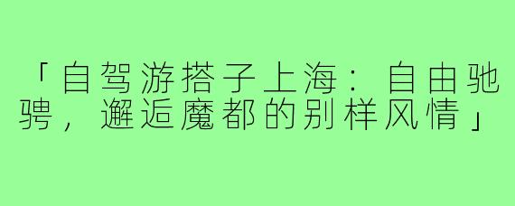 「自驾游搭子上海：自由驰骋，邂逅魔都的别样风情」